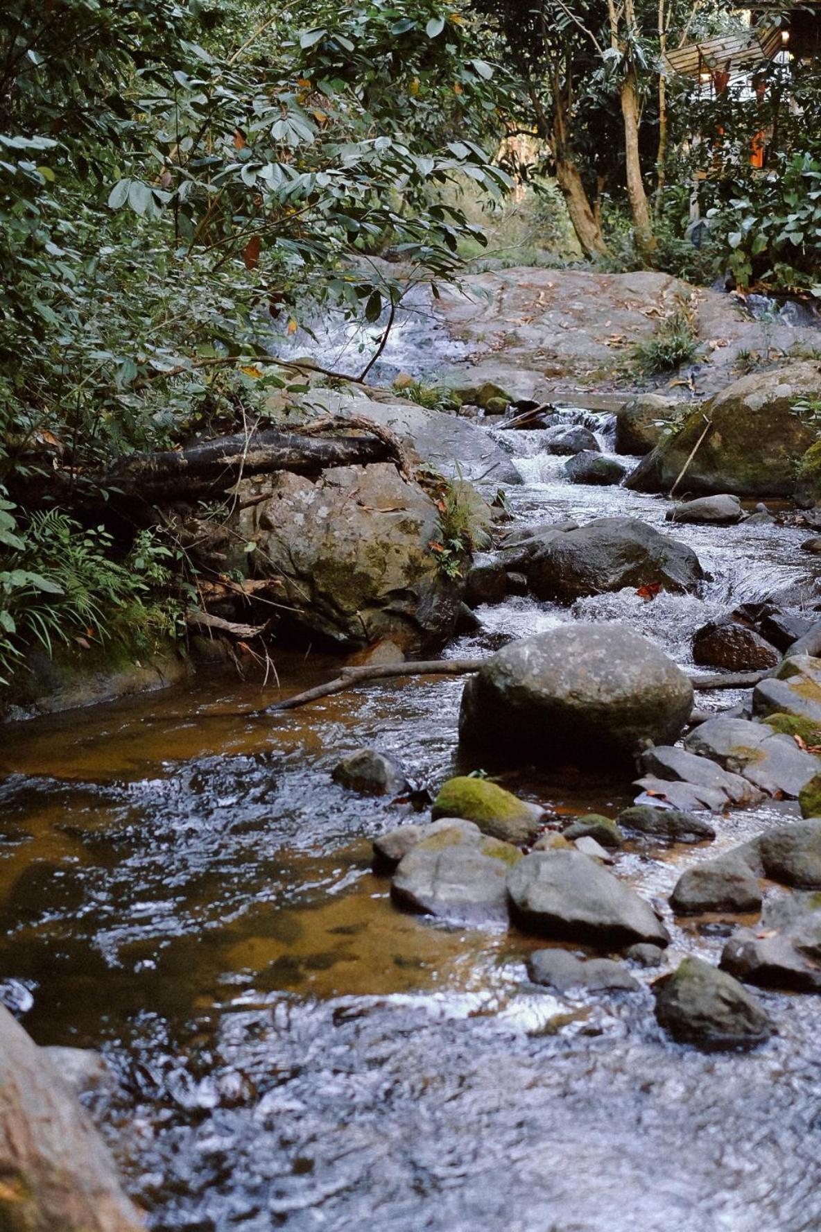 Bee Forest Ban Pok Nai Dış mekan fotoğraf