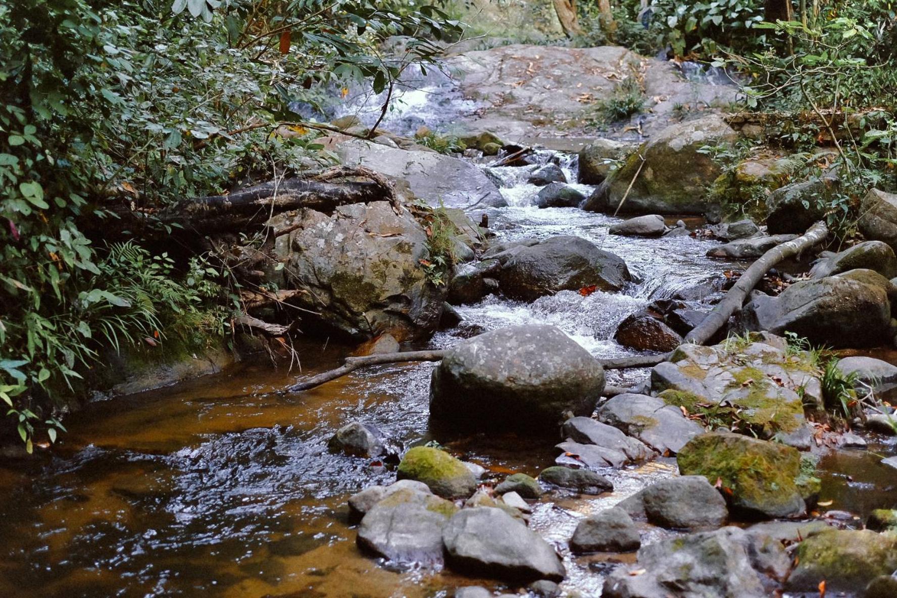 Bee Forest Ban Pok Nai Dış mekan fotoğraf